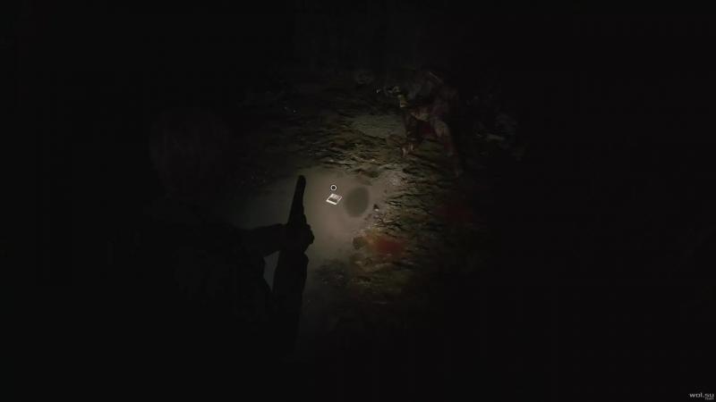 Все странные фото в Silent Hill 2 Remake: где найти и как получить достижение «Всё смешалось»