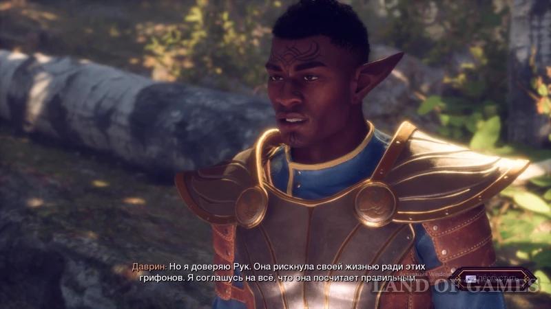 Грифоны в Dragon Age The Veilguard: отпустить или вернуть Серым Стражам