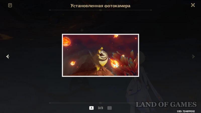 Делай ноги пока горячо в Genshin Impact: как пережить биологический дождь