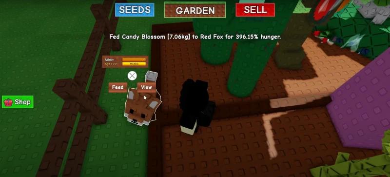 Гайд Grow a Garden (Вырасти Сад): что делать новичкам