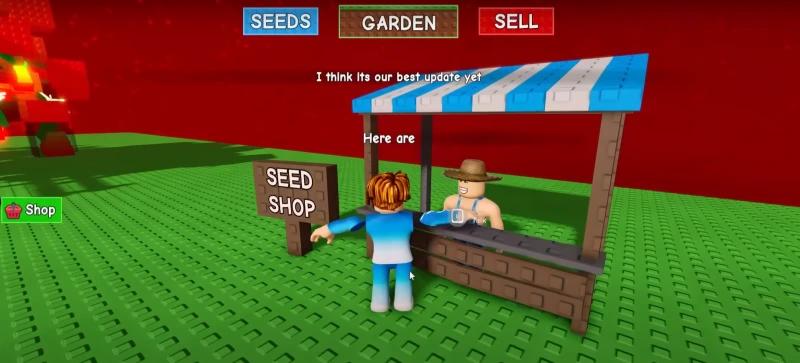Гайд Grow a Garden (Вырасти Сад): что делать новичкам
