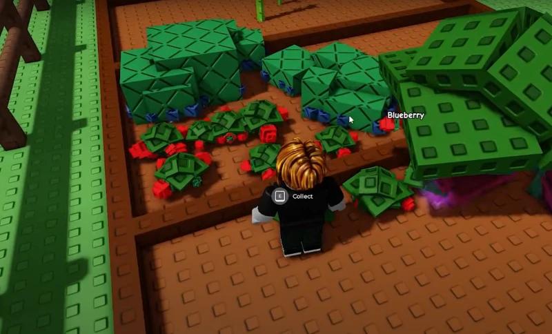 Гайд Grow a Garden (Вырасти Сад): что делать новичкам