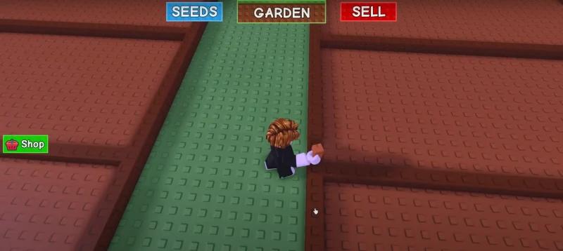 Гайд Grow a Garden (Вырасти Сад): что делать новичкам