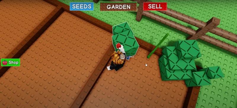Гайд Grow a Garden (Вырасти Сад): что делать новичкам
