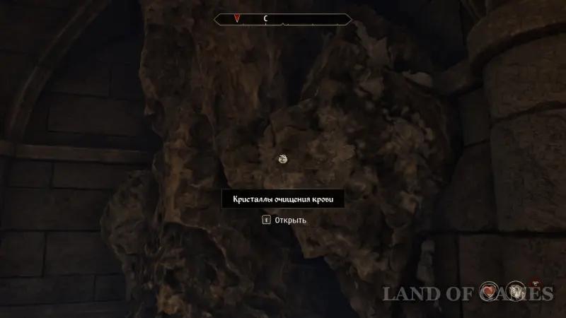 Вампиризм в The Elder Scrolls 4 Oblivion Remastered: что дает и как стать вампиром