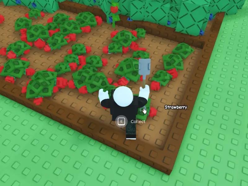 Как быстро заработать деньги в Grow a Garden (Вырасти Сад)