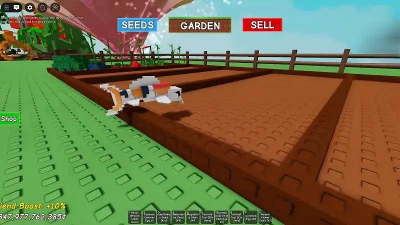 Рыба Кои в Grow a Garden (Вырасти Сад): что делает и как получить