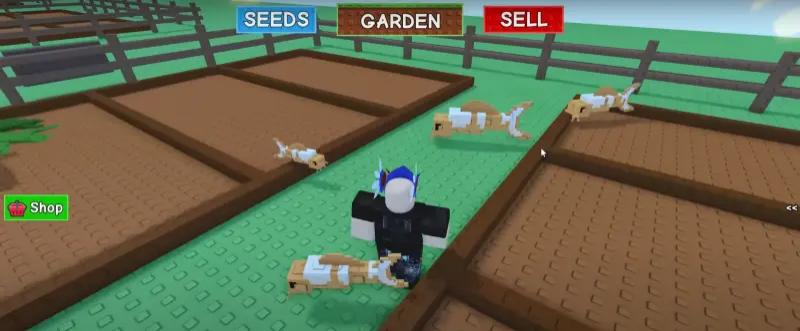 Рыба Кои в Grow a Garden (Вырасти Сад): что делает и как получить