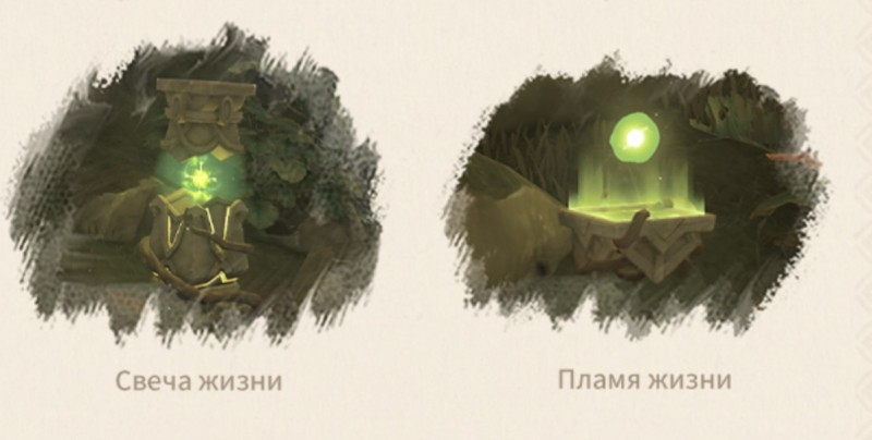 Сумеру в Genshin Impact: гайд на Дендро регион