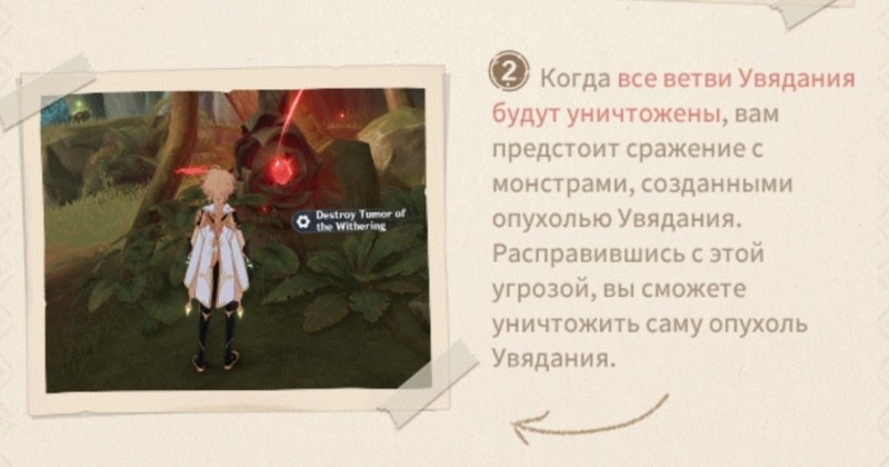 Сумеру в Genshin Impact: гайд на Дендро регион