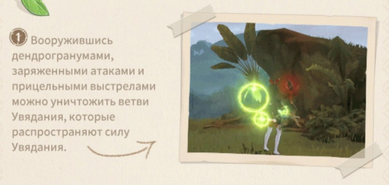 Сумеру в Genshin Impact: гайд на Дендро регион