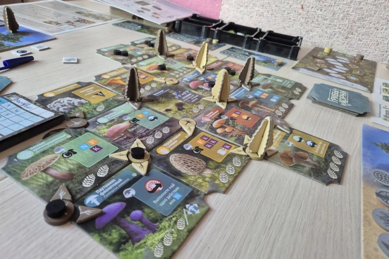 Настольная игра «Грибы и корни»: правила, механики, впечатления