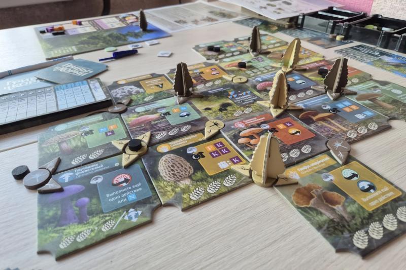Настольная игра «Грибы и корни»: правила, механики, впечатления