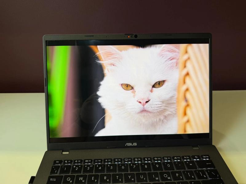 Обзор ASUS Vivobook S14 OLED: тонкий, мощный и недорогой. Такое вообще бывает?