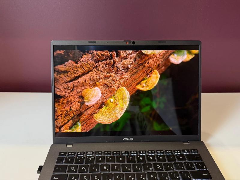 Обзор ASUS Vivobook S14 OLED: тонкий, мощный и недорогой. Такое вообще бывает?
