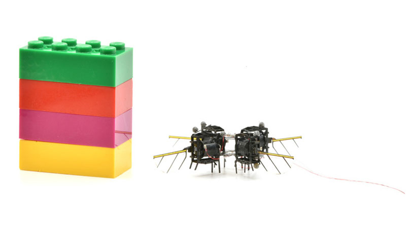 Инженеры MIT создали юркого микробота-шмеля — за 11 секунд он выполнил 10 петель Нестерова